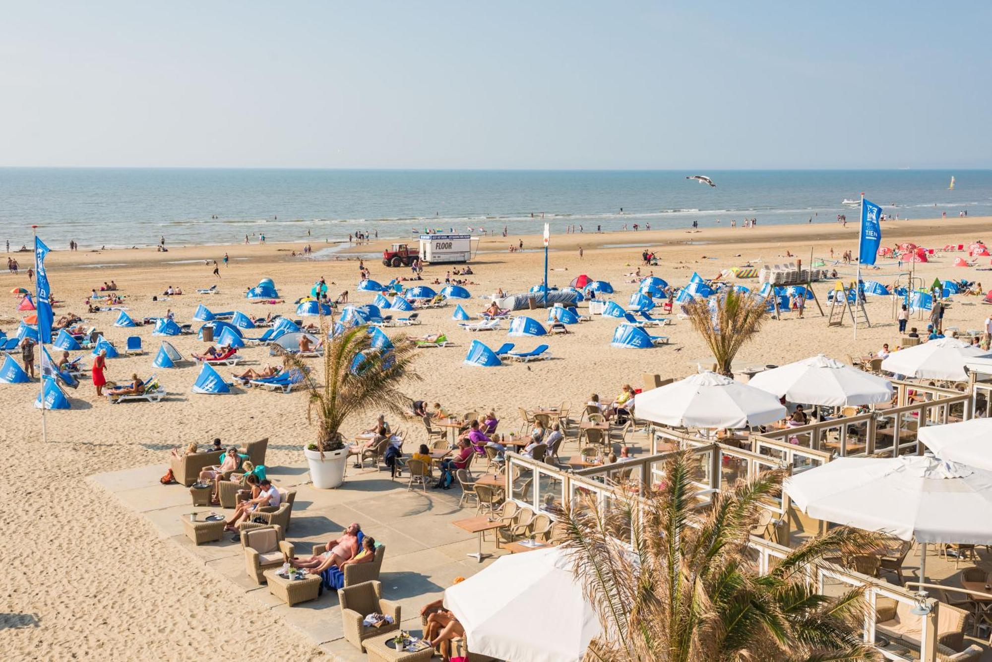 Albatros Aan Zee - Apartment Zandvoort Esterno foto